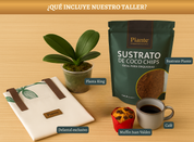 Materiales y kit completo del Taller Florecer de Piante en Bogotá