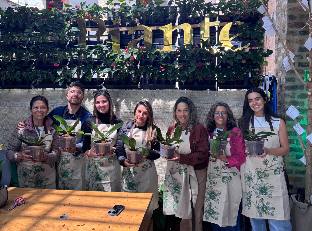 Curso de orquídeas en Bogotá con Piante - Taller Florecer