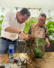 Taller florecer Piante Orquídeas Bogotá