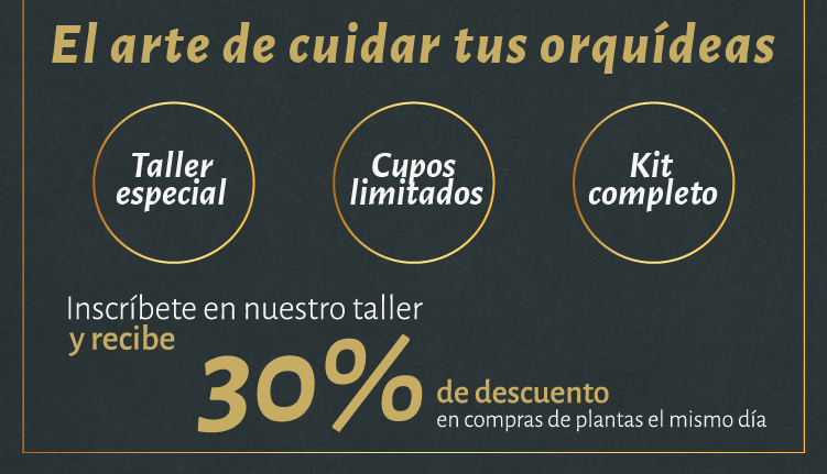 bannermobile_2765576b-6e37-45c6-bcca-c78ad4849cbd.png