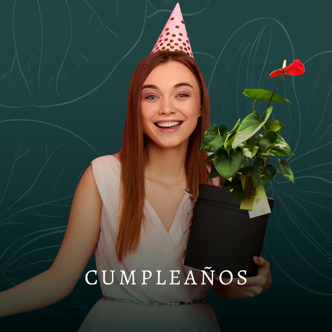 CUMPLEAÑOS BOGOTÁ