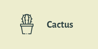 Cactus Bogotá