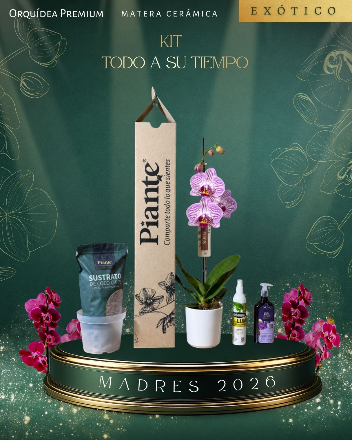Kit Premium Exotico en ceramica / Todo a su tiempo
