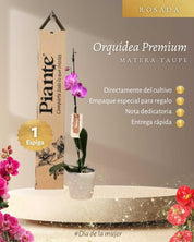 Orquídea Grandi Premium Rosada Tigris en Taupe 15