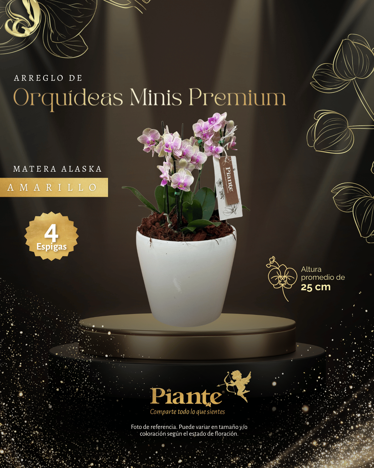 Arreglo Floral de orquideas minis premium amarillas michu en matera Alaska