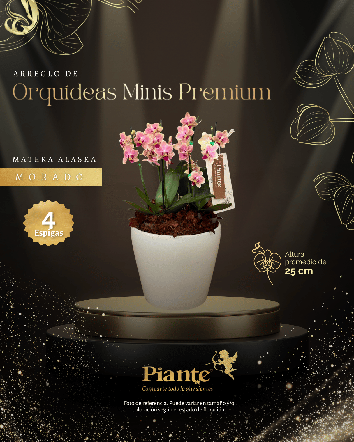 Arreglo Floral de orquideas minis premium rosadas sogojisso en matera Alaska
