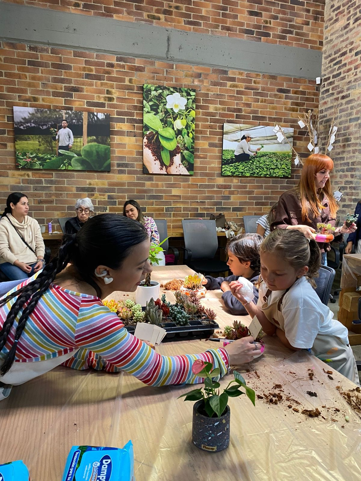 Taller de Jardinería Basica Niños