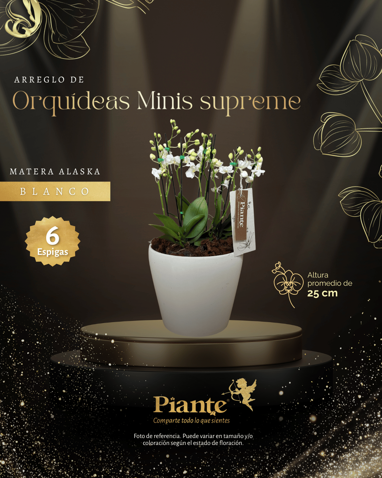 Arreglo Floral de orquideas minis supreme blancas zurich en matera alaska