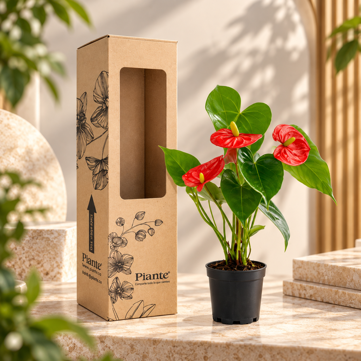 Anthurium_rojo_junto_a_empaque_Piante.png
