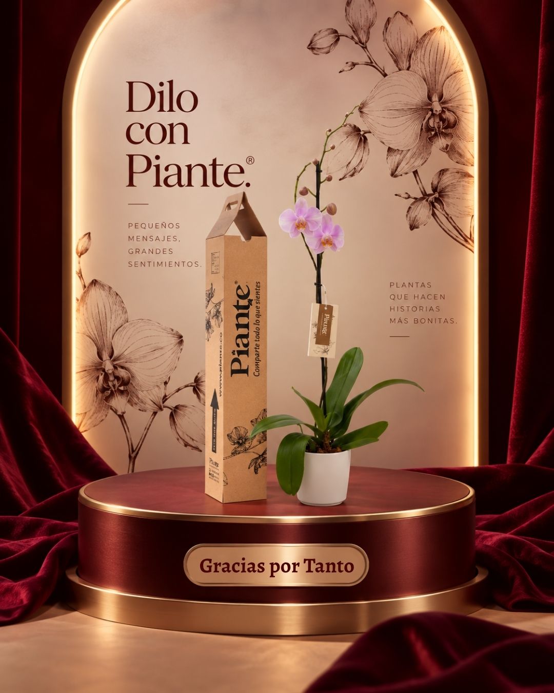Orquídea Grandi Premium Rosada en Matera Ceramica