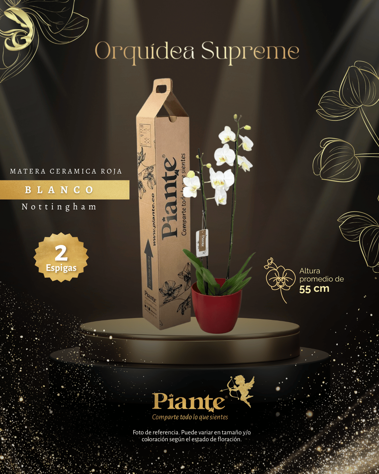Arreglo de Orquidea Grandi Supreme Nottinham Blanca en Matera Ceramica Roja