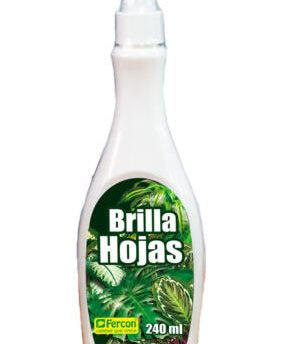 BRILLAHOJASOK.jpg