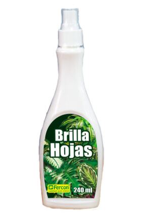 Brilla Hojas