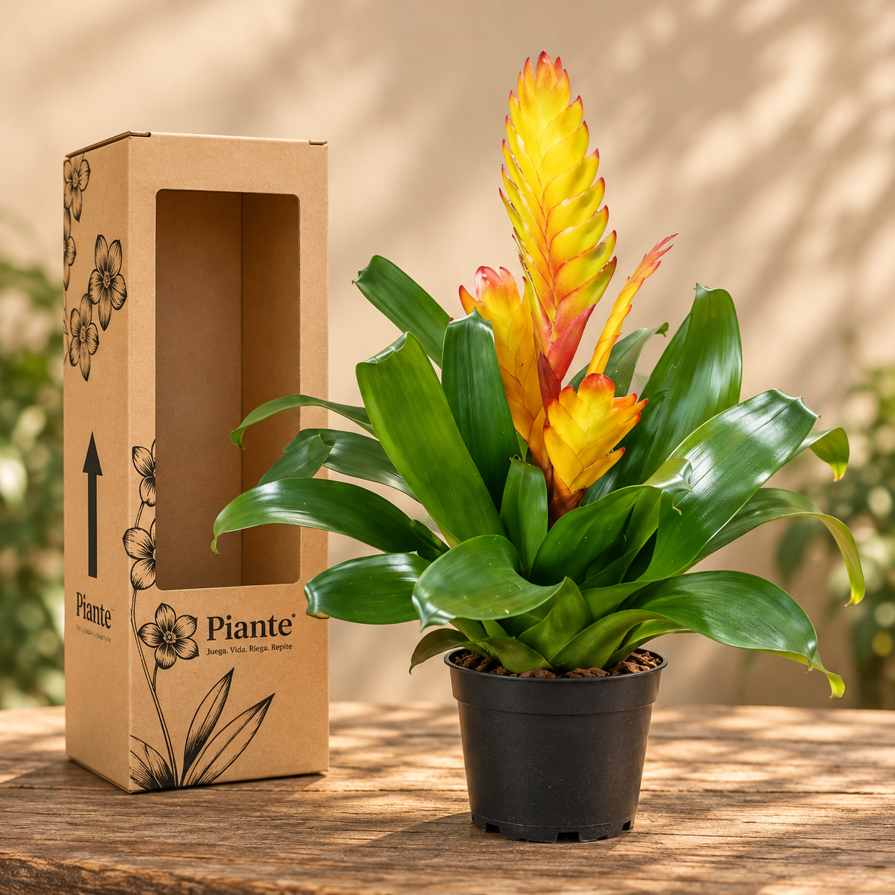 Bromelia Vrie Amarillo Electric
