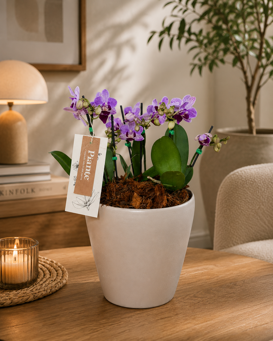 Arreglo Floral de Orquideas Minis Supreme Moradas Salitre en Matera Taupe