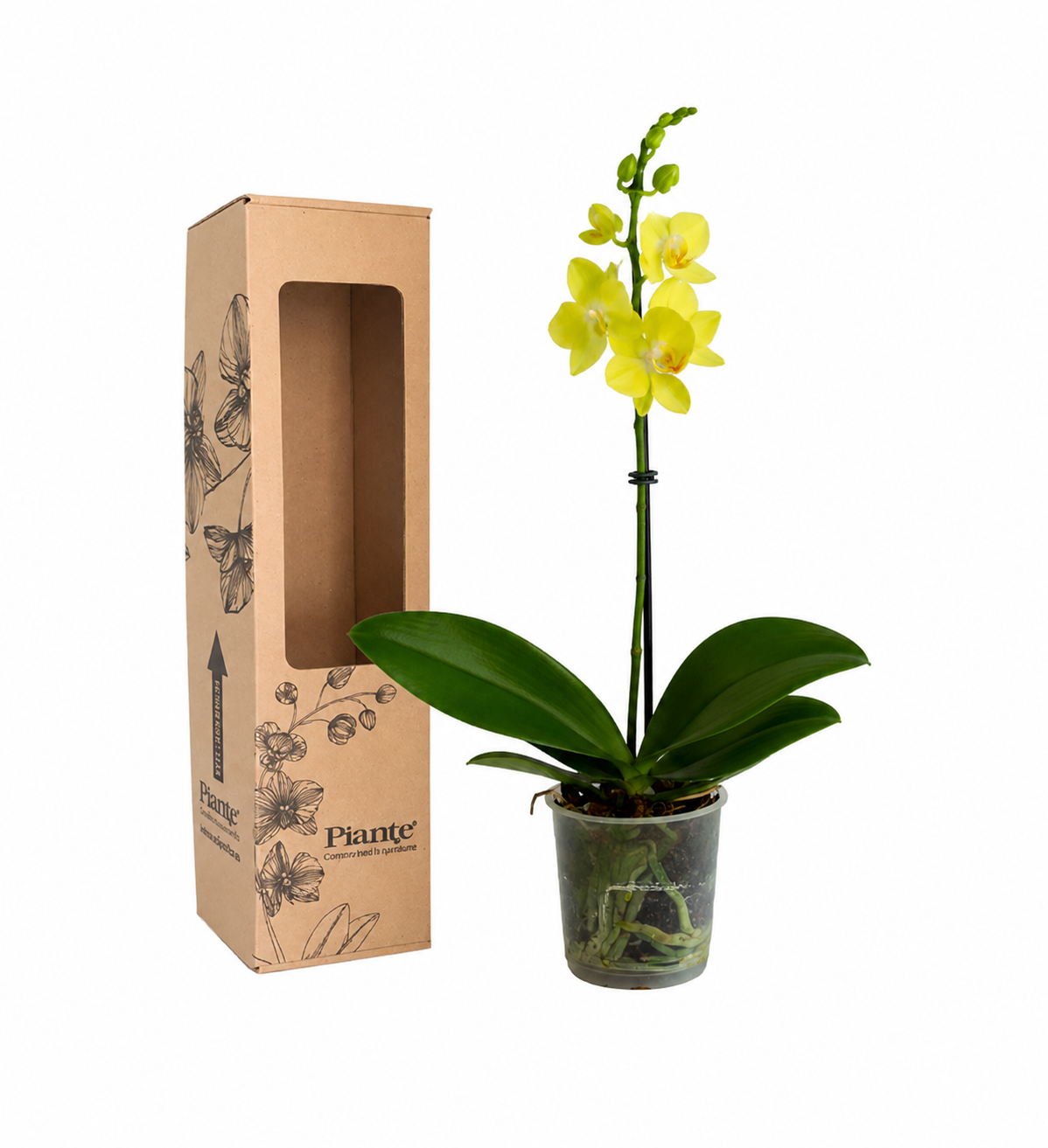 ChatGPTImage7may2026_14_46_42.png