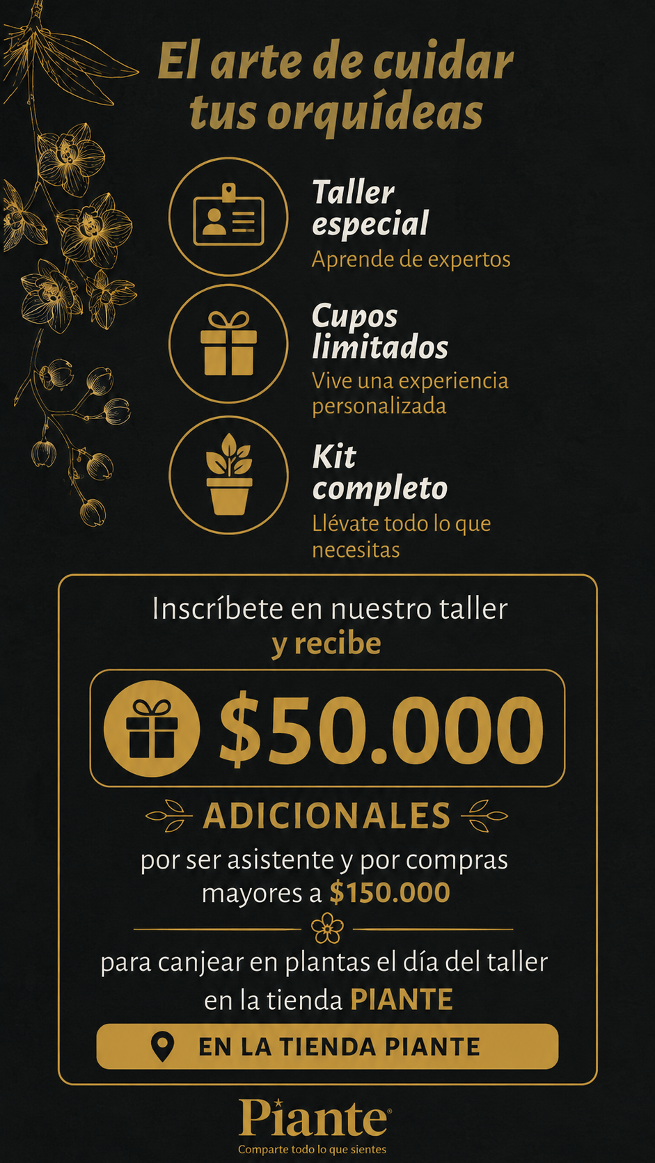 ChatGPT_Image_15_jul_2026_10_28_55_a.m..png