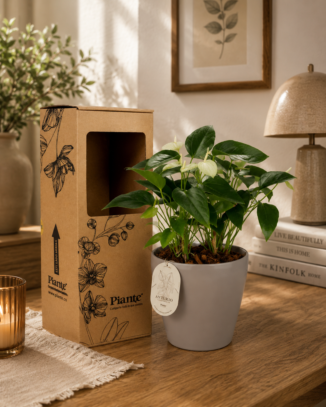 Arreglo floral DM de Anthurios medianos blanco