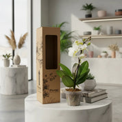 Orquídea Mini Premium Blanco Zurich