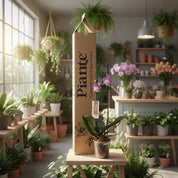 Orquídea Grandi Supreme Exotica Sunca Split en Matera de Cultivo