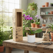 Orquídea Mini Premium Exotica Salitre en matera cerámica