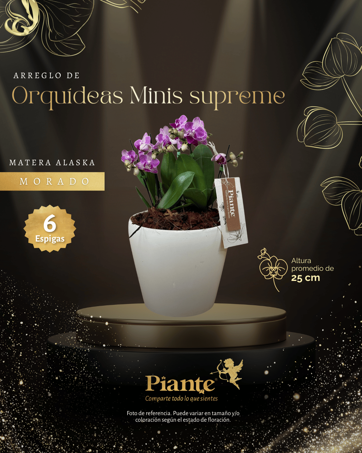 Arreglo Floral de orquideas minis supreme moradas salitre en matera alaska