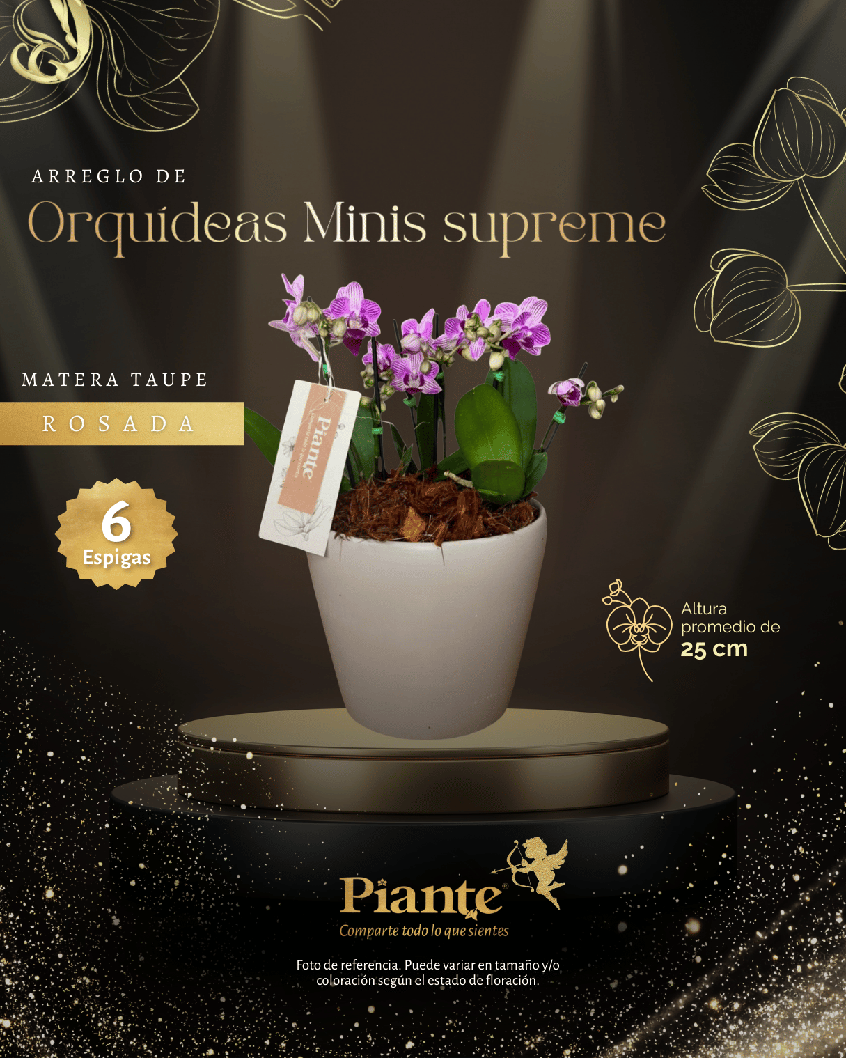 Arreglo Floral de orquideas minis supreme moradas salitre en matera taupe