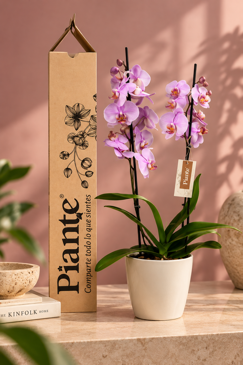 Orquídea Grandi Supreme Morada Formation en Taupe 15