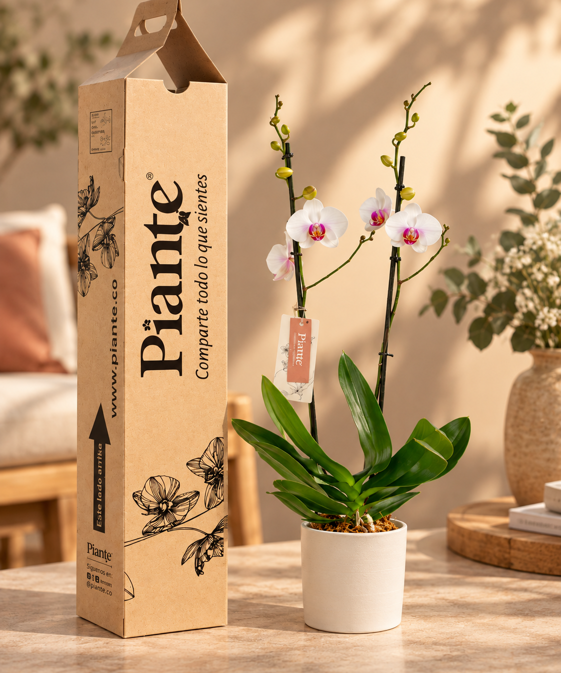 Orquidea_Piante_junto_a_su_caja_de_regalo_1.png