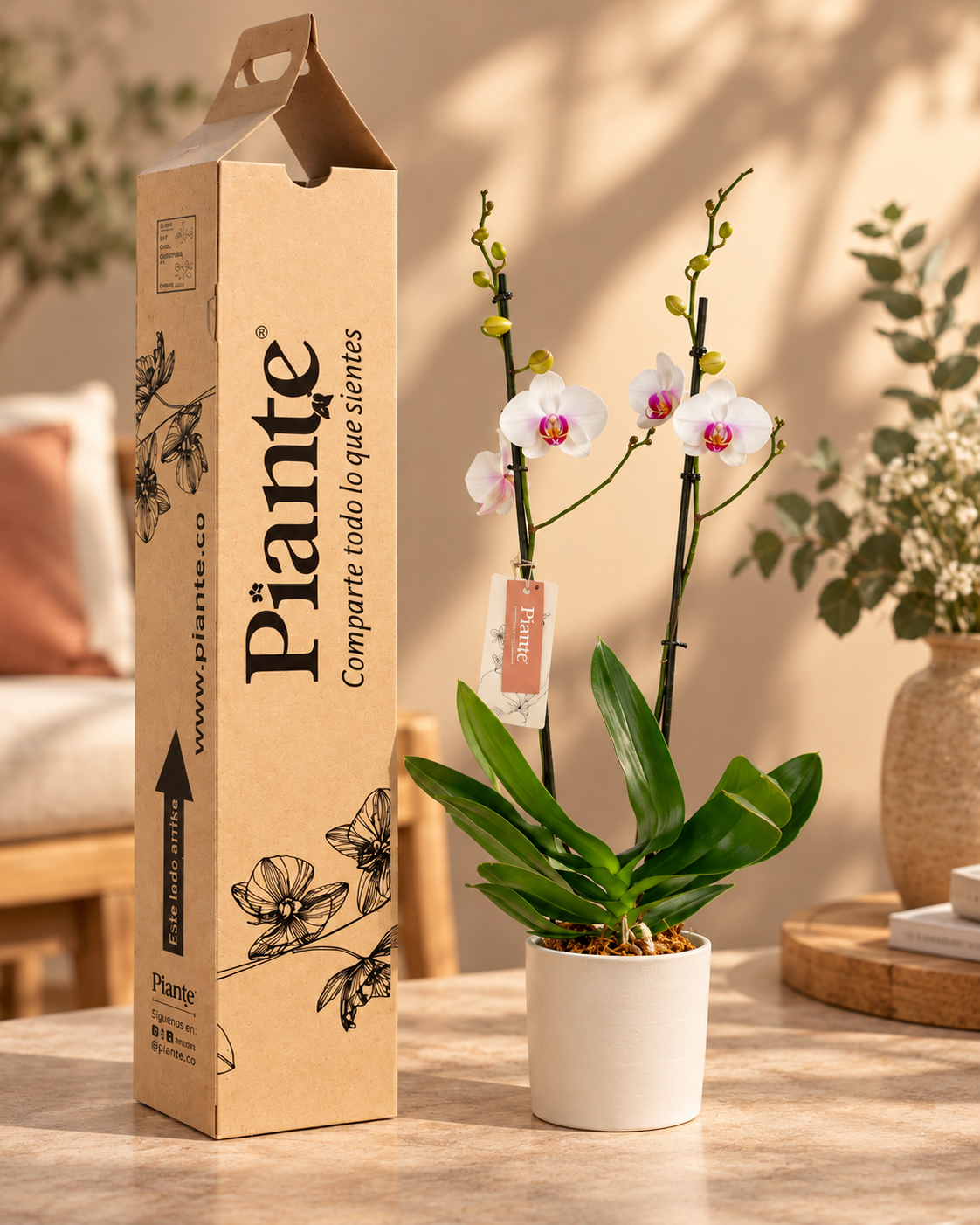 Orquídea Grandi supreme Blanco Labio Rojo Denver en Matera Ceramica Blanca
