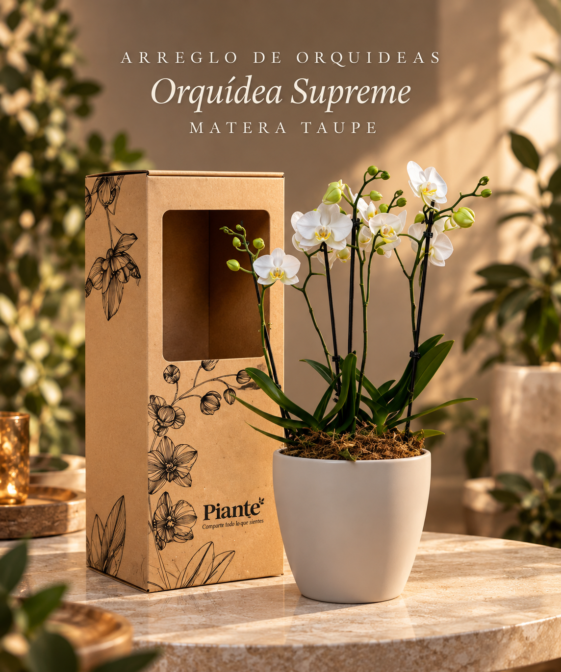 Orquidea_Supreme_en_Taupe.png