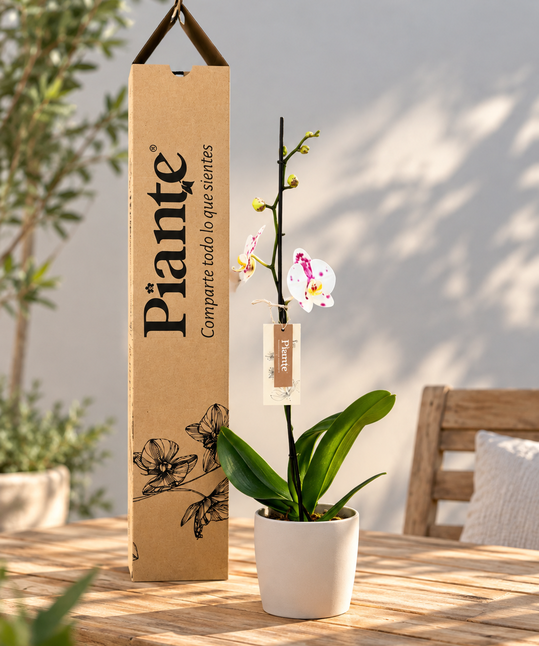 Orquidea_y_empaque_Piante.png