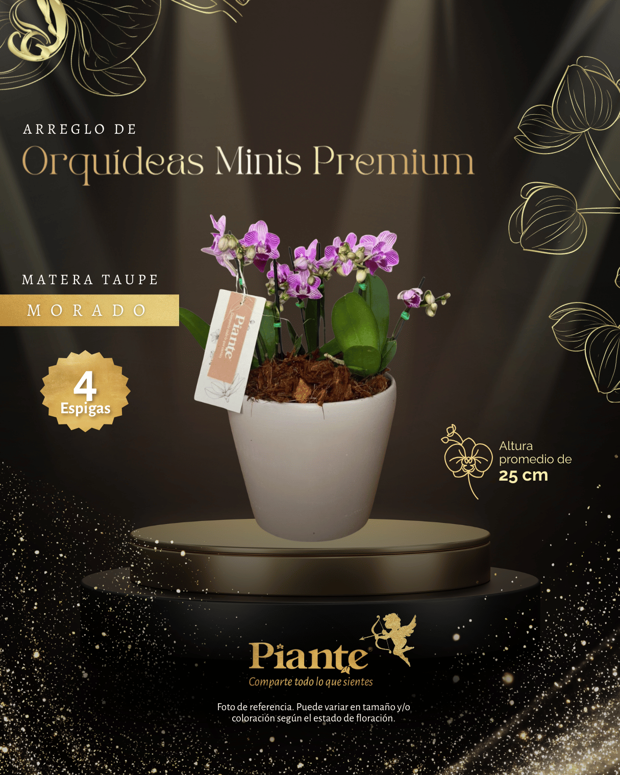 Arreglo Floral de orquideas minis premium moradas salitre en matera taupe