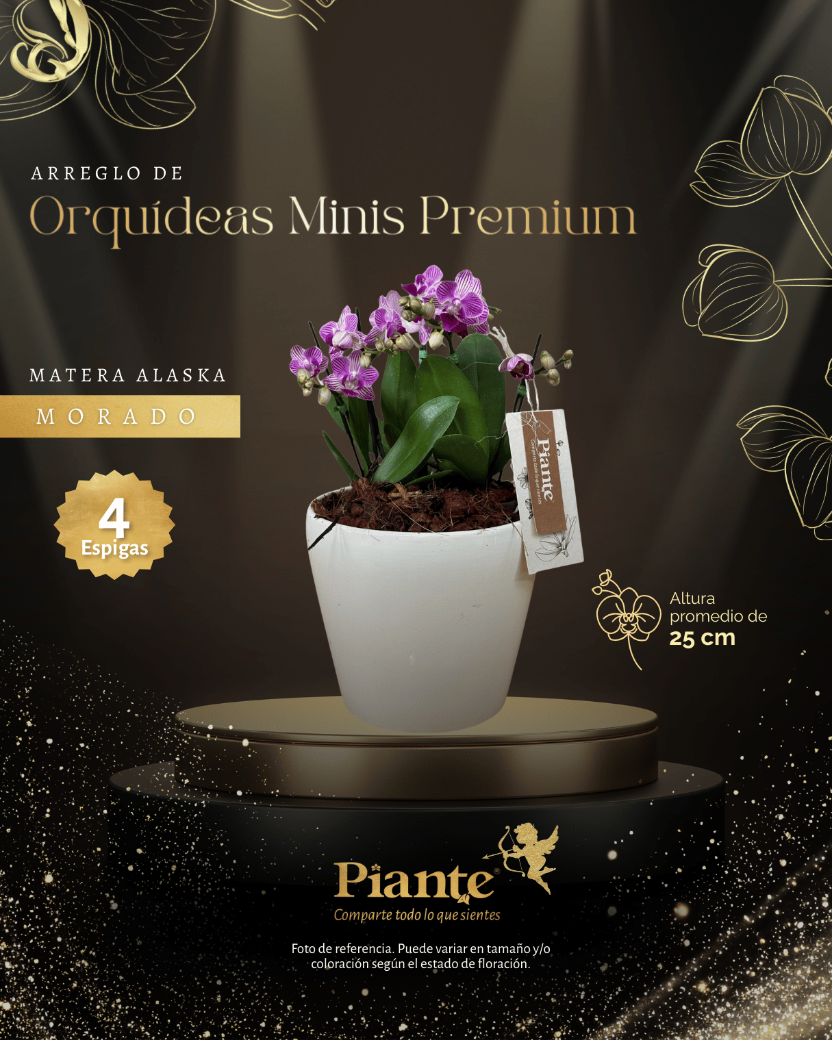 Arreglo Floral de orquideas minis premium moradas salitre en matera Alaska