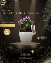 Arreglo Floral de orquideas minis premium moradas salitre en matera Alaska