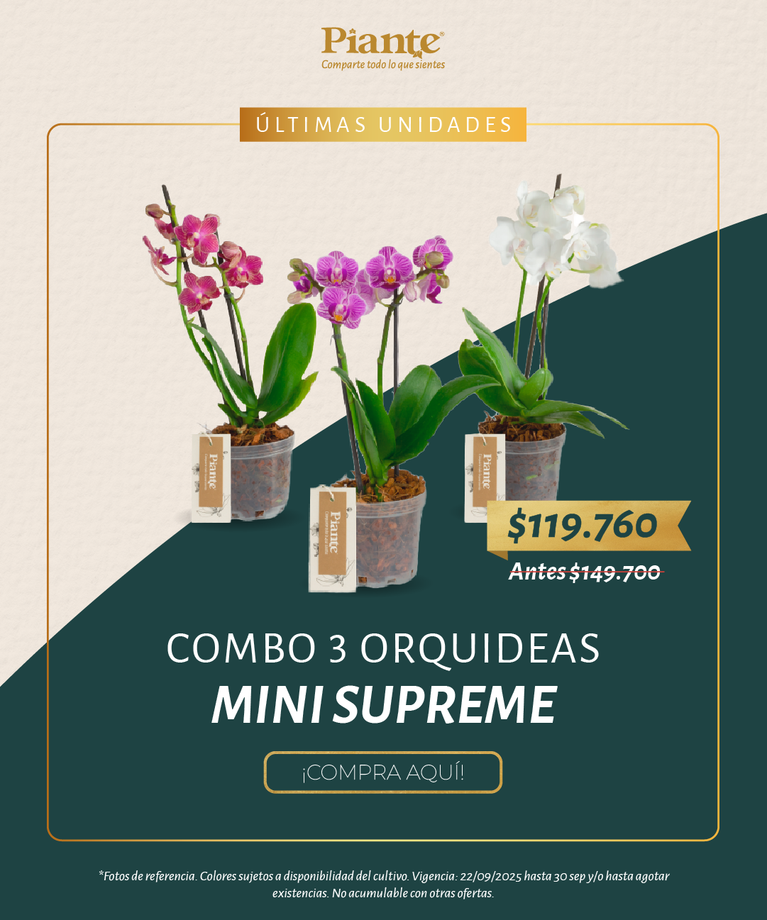 Piante_POST_combos_promociones_septiembre_2025_2.png