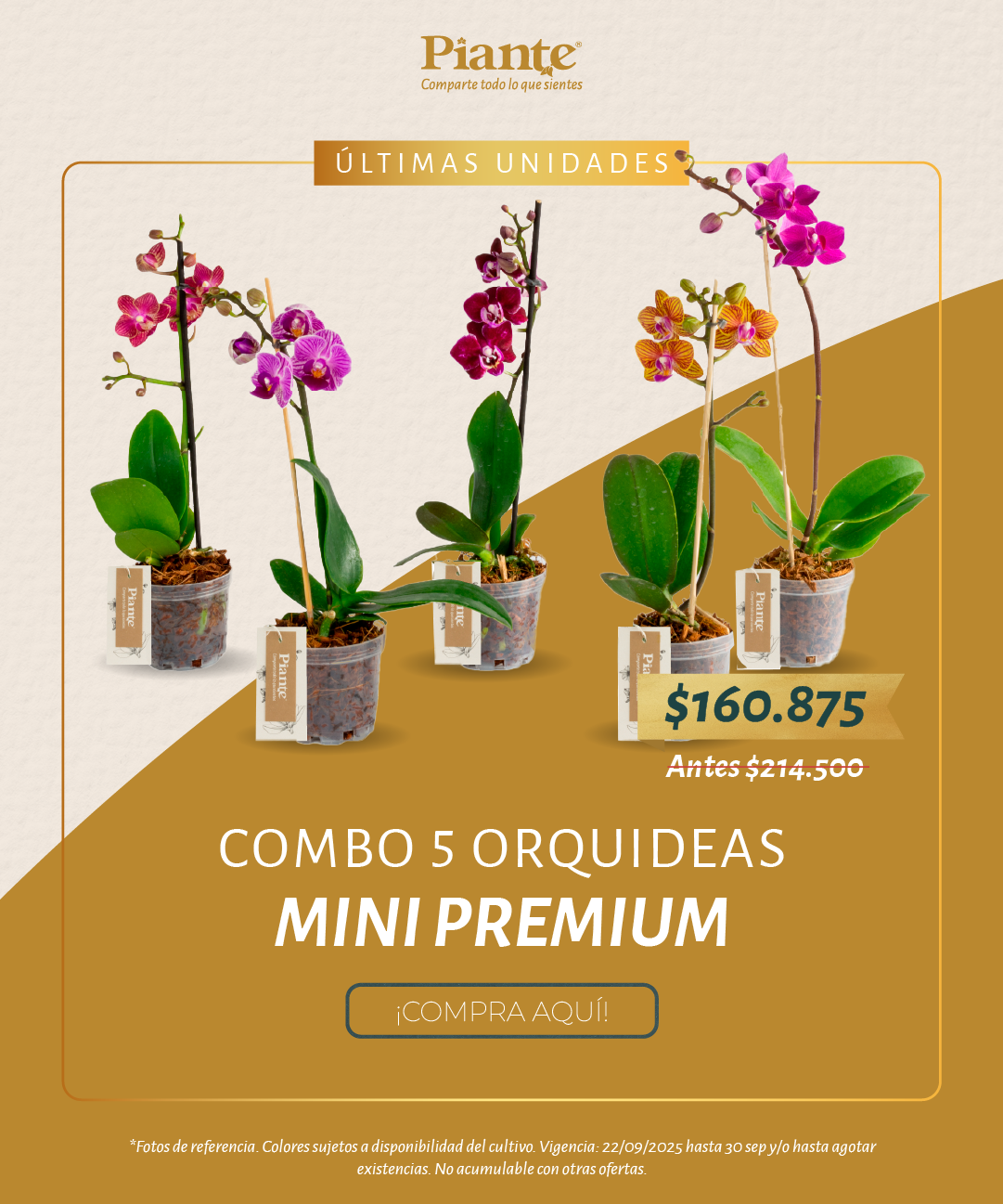 Piante_POSTcombospromocionesseptiembre2025_3.png