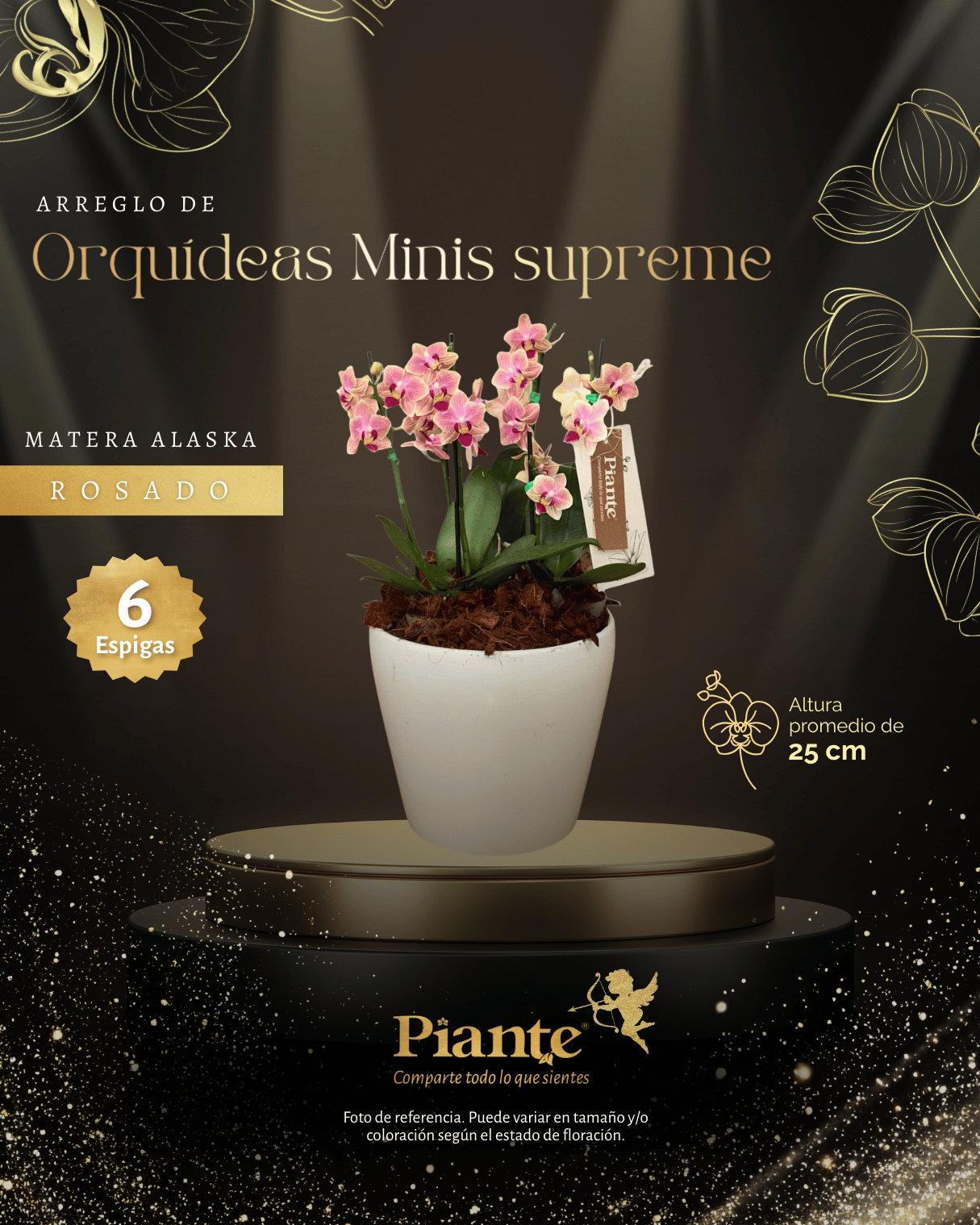 Arreglo Floral de orquideas minis supreme rosadas sogojisso en matera alaska