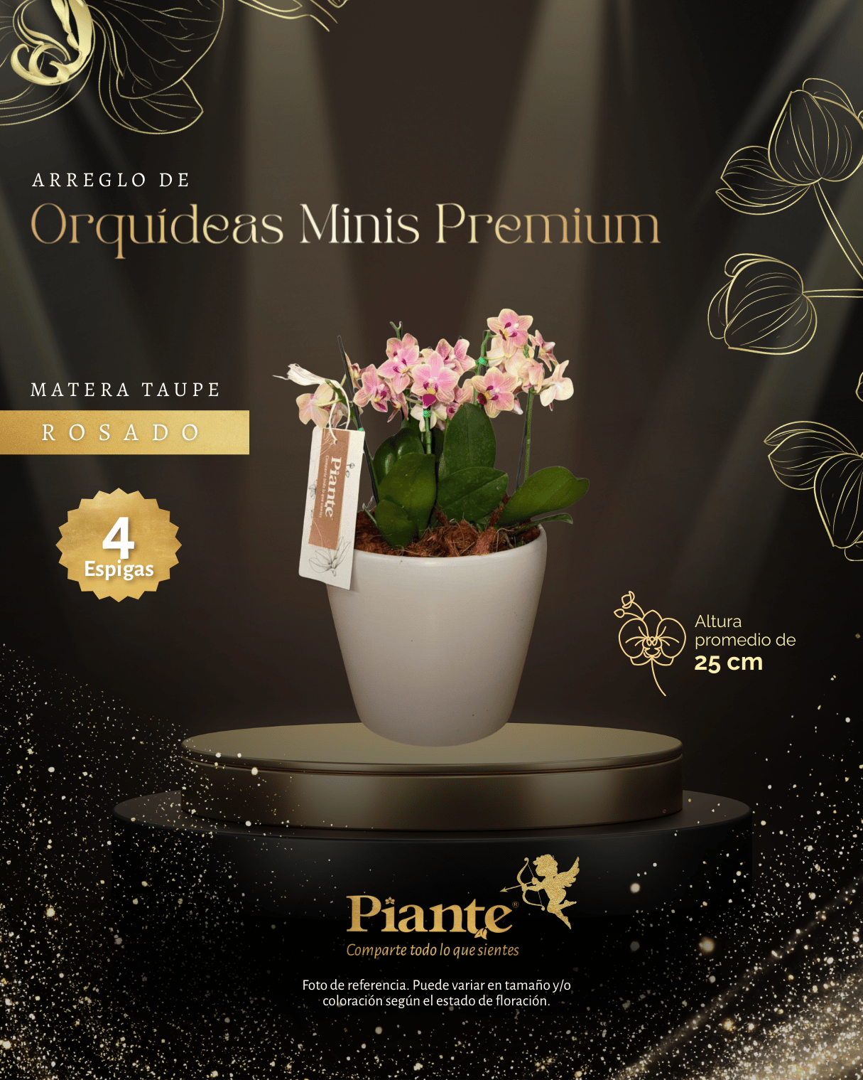 Arreglo Floral de orquideas minis premium sogojisso rosadas en matera taupe