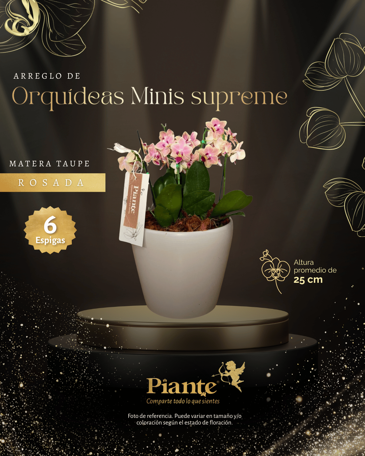 Arreglo Floral de orquideas minis supreme rosadas sogojisso en matera taupe