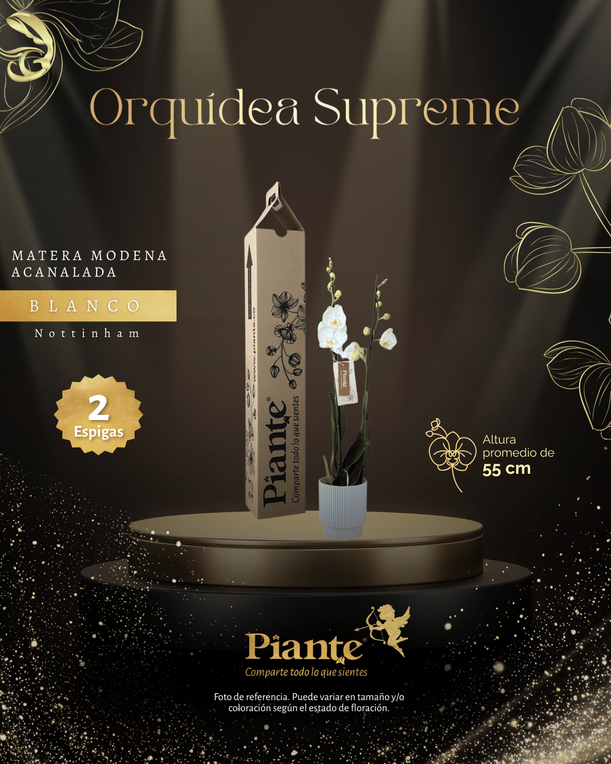 Orquídea Grandi Supreme Nottingham en Matera Ceramica Acanalada