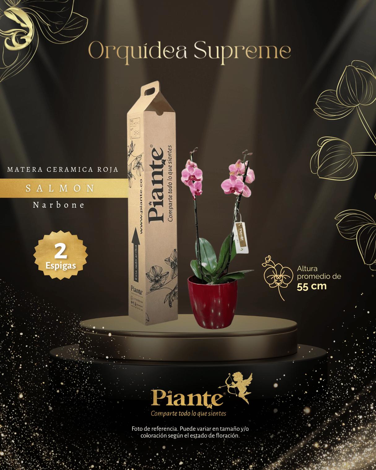 Arreglo de Orquidea Grandi Supreme Narbone Salmon en Matera Ceramica Roja