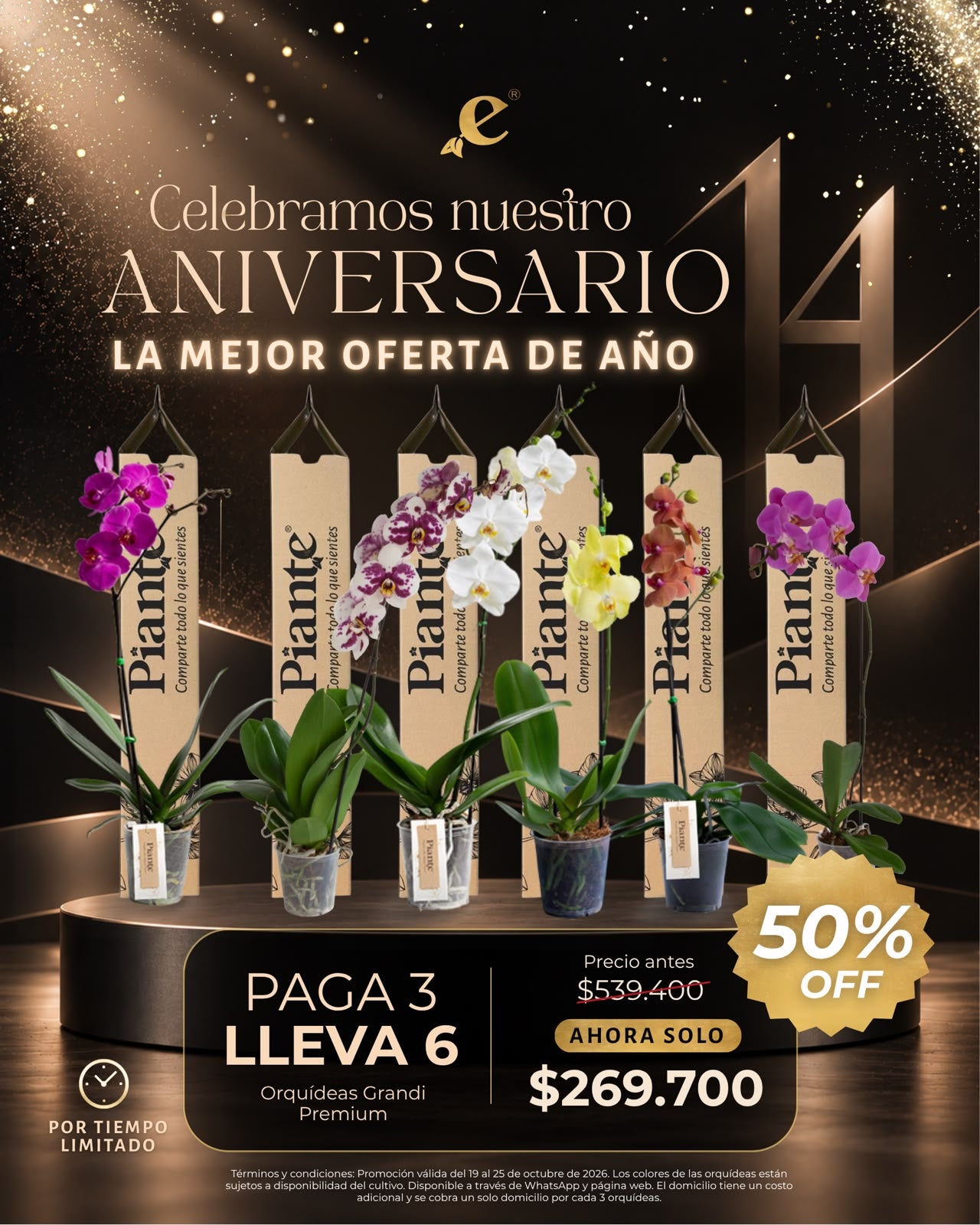 Combo Aniversario: Paga 3 Y Lleva 6 Orquídeas Grandi Premium Cali.