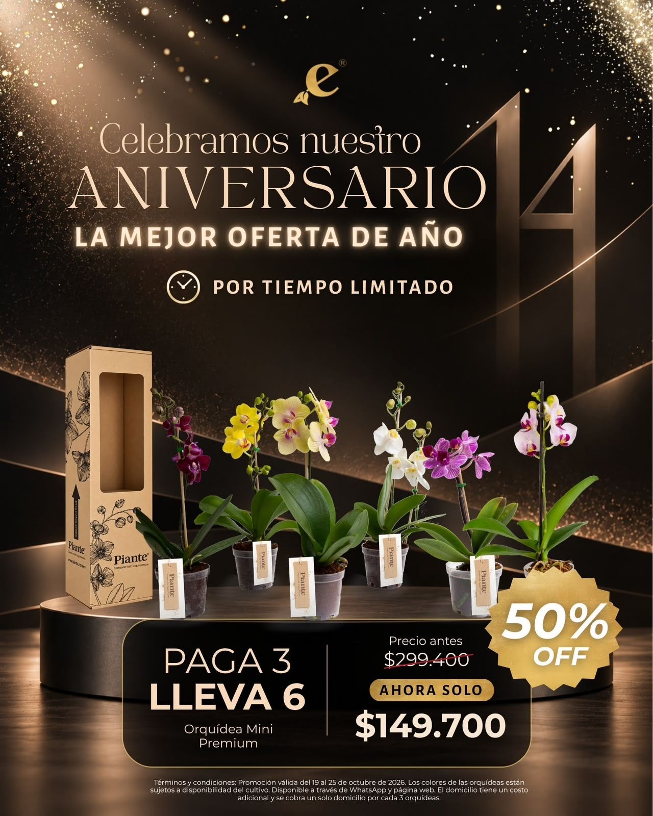 Combo Aniversario: Paga 3 Y Lleva 6 Orquídeas Mini Premium Bog.