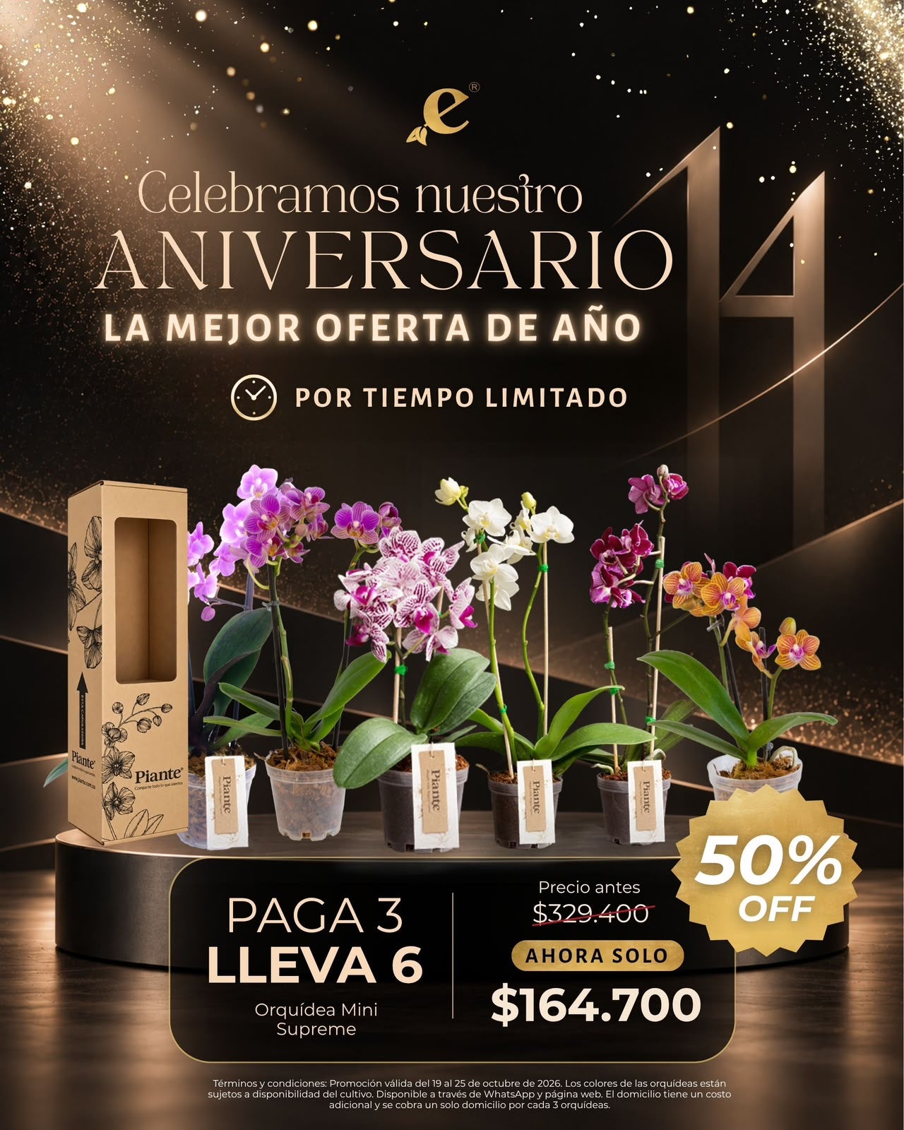 Combo Aniversario: Paga 3 Y Lleva 6 Orquídeas Mini Supreme Bog