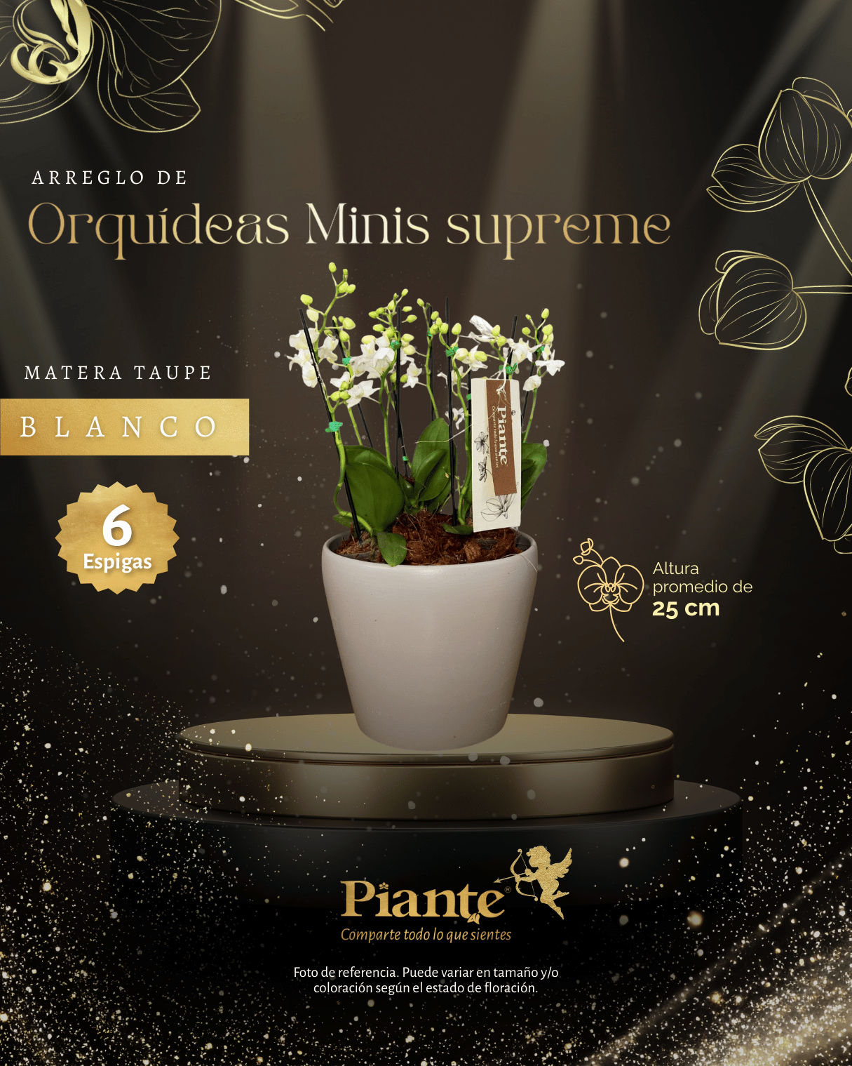 Arreglo Floral de orquideas minis supreme blancas zurich en matera taupe