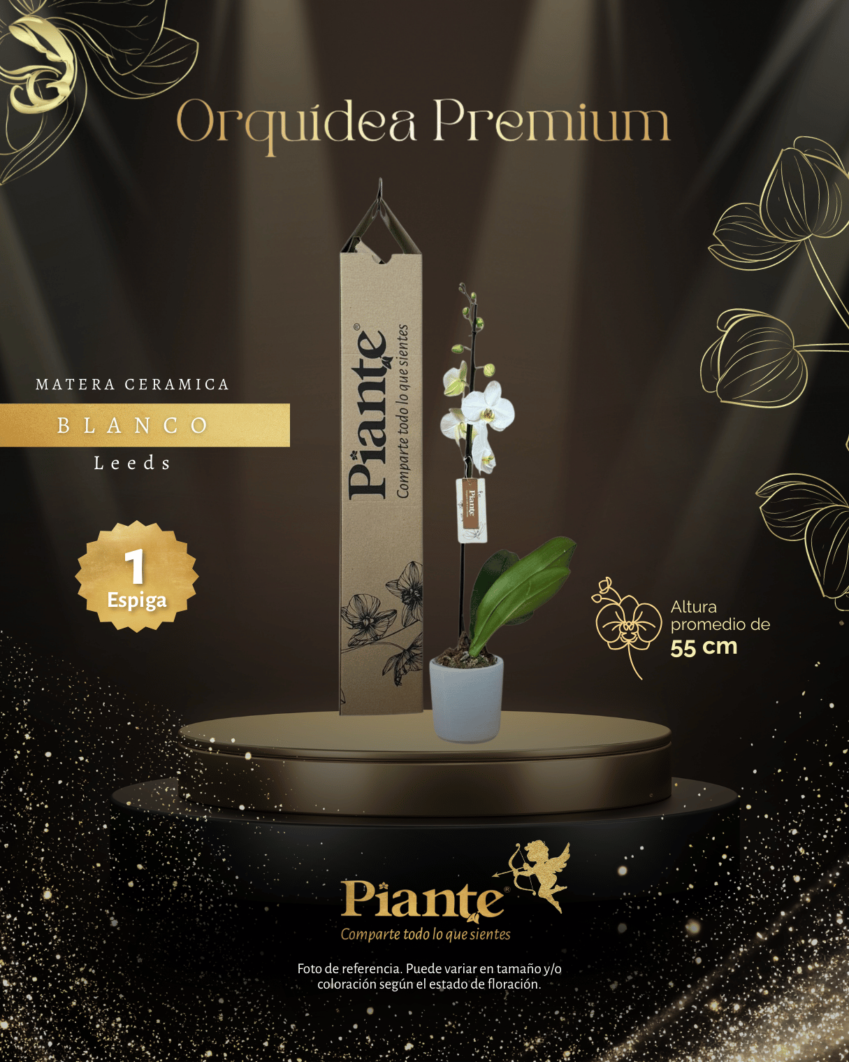 Orquídea Grandi Premium Blanca Leeds en Matera Ceramica