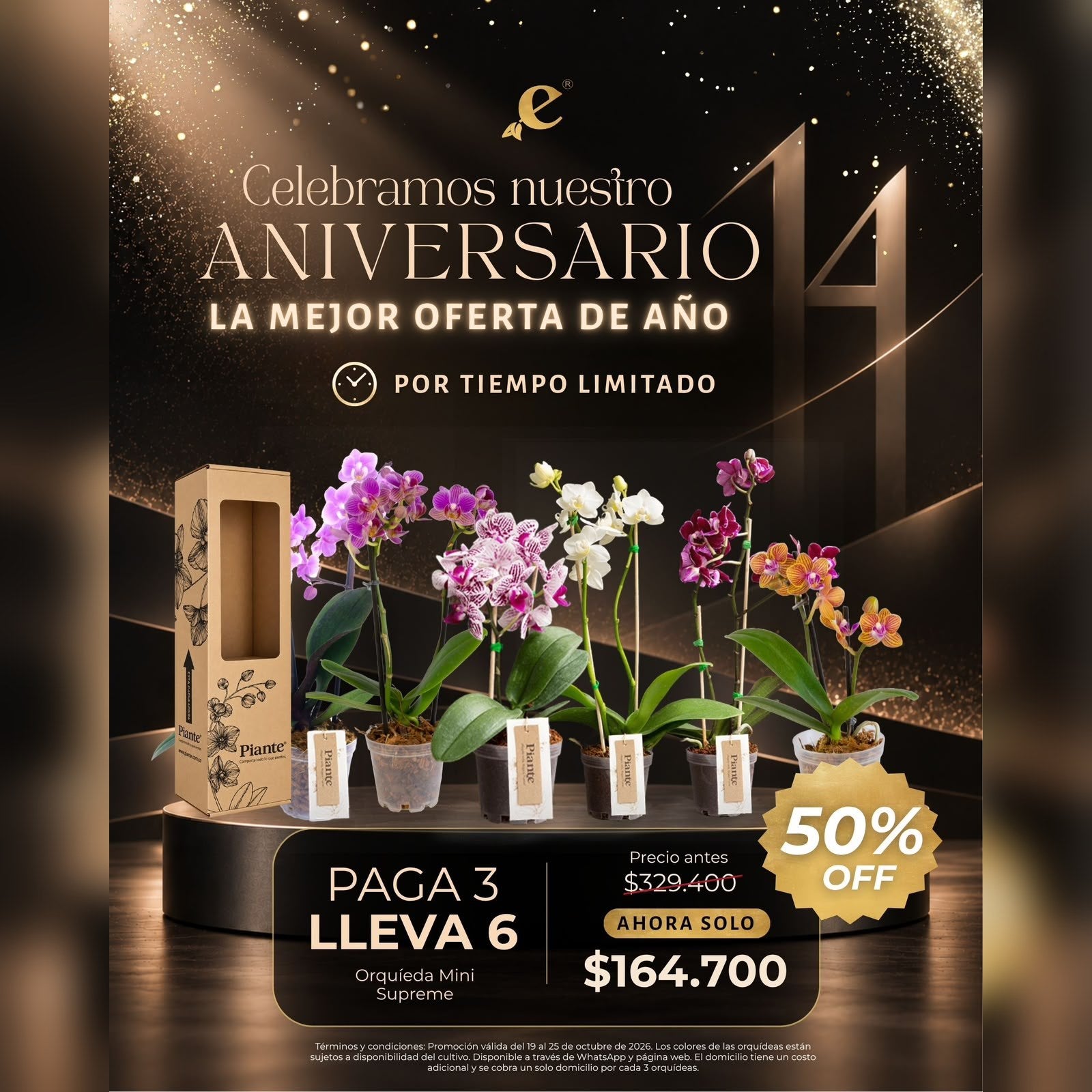 Combo Aniversario: Paga 3 Y Lleva 6 Orquídeas Mini Supreme Cali.