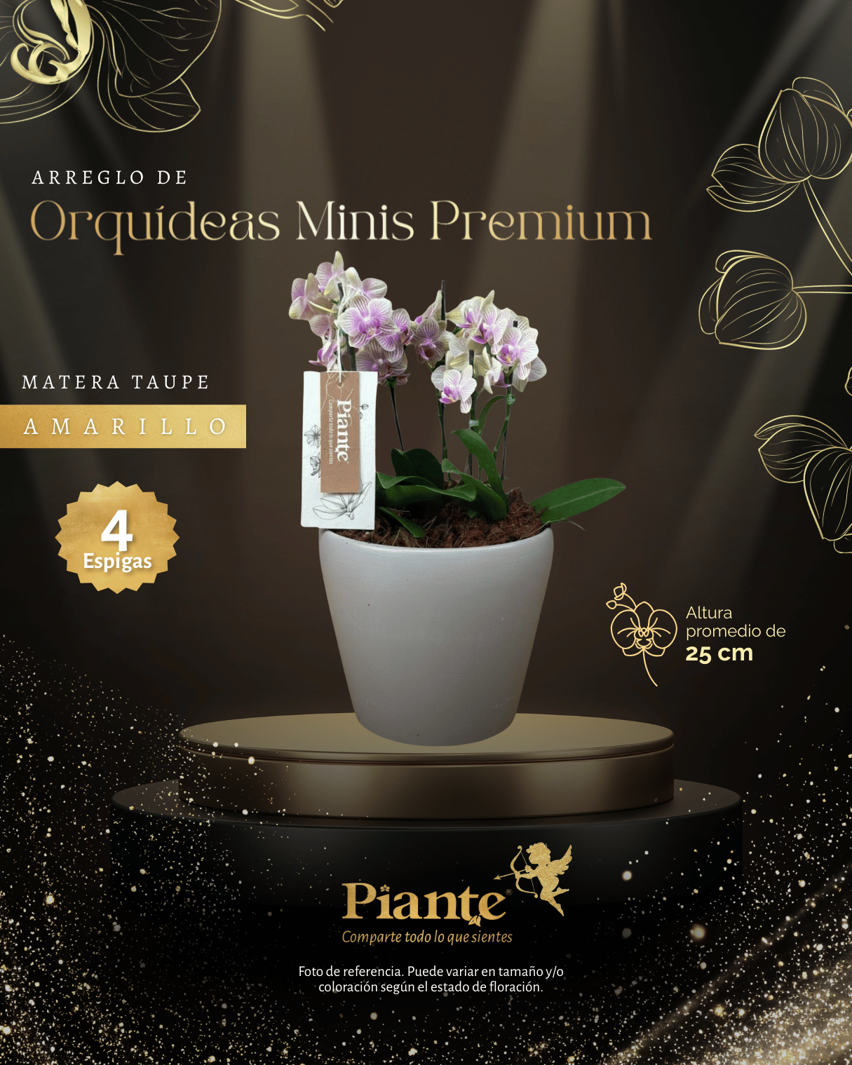 Arreglo Floral de orquideas minis premium amarillas michu en matera taupe